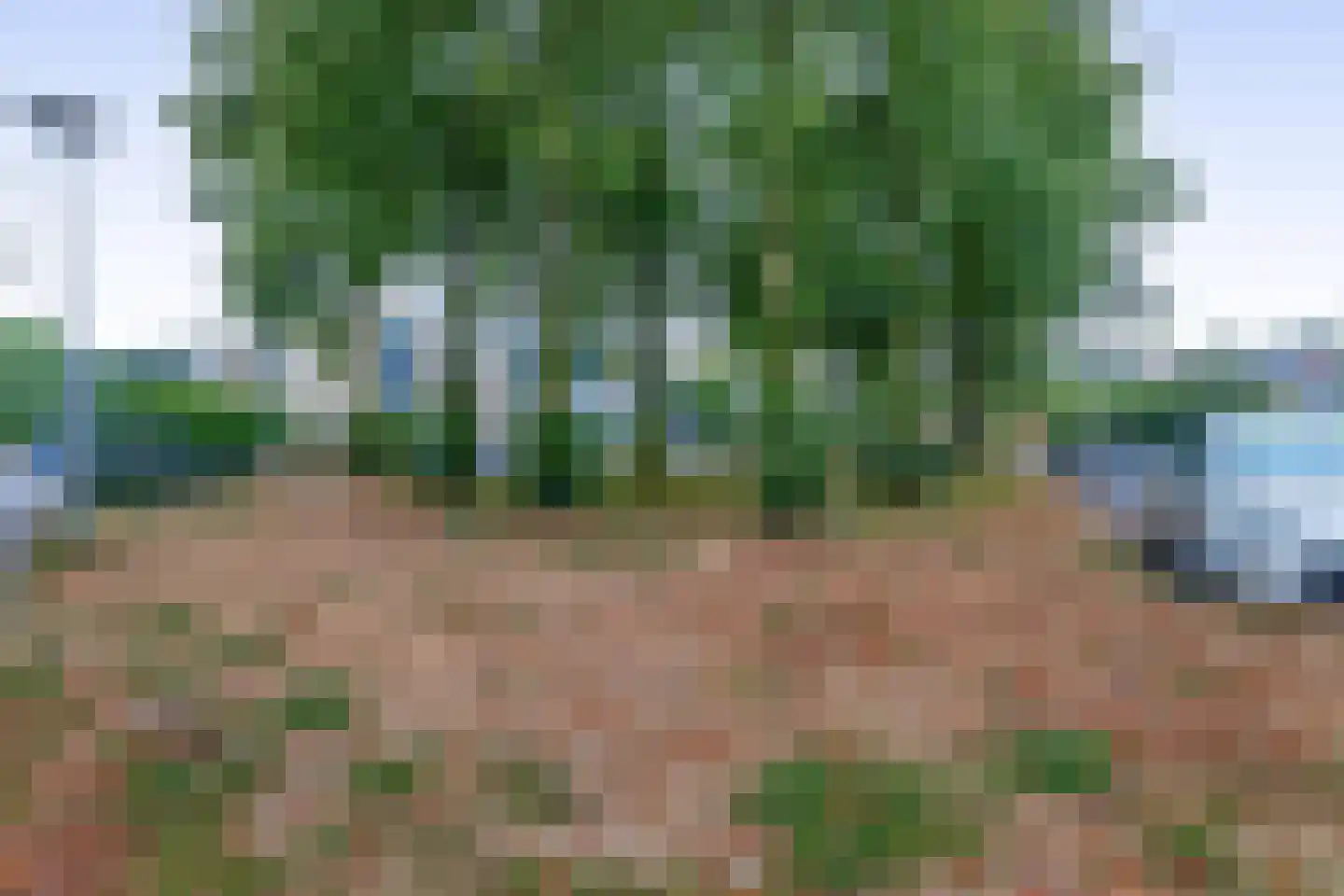 Ameland 64 Utrecht thumbnail 40