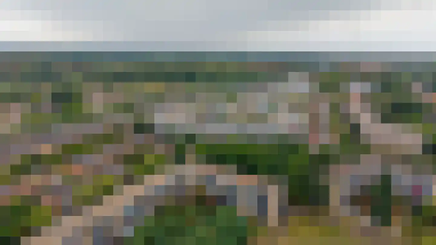 Ameland 64 Utrecht thumbnail 43