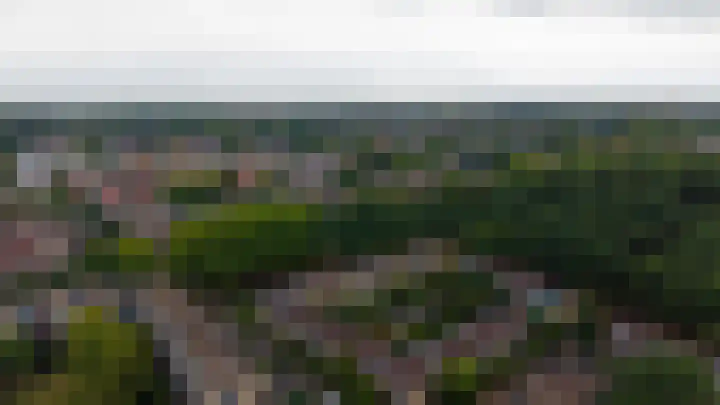 Ameland 64 Utrecht thumbnail 45