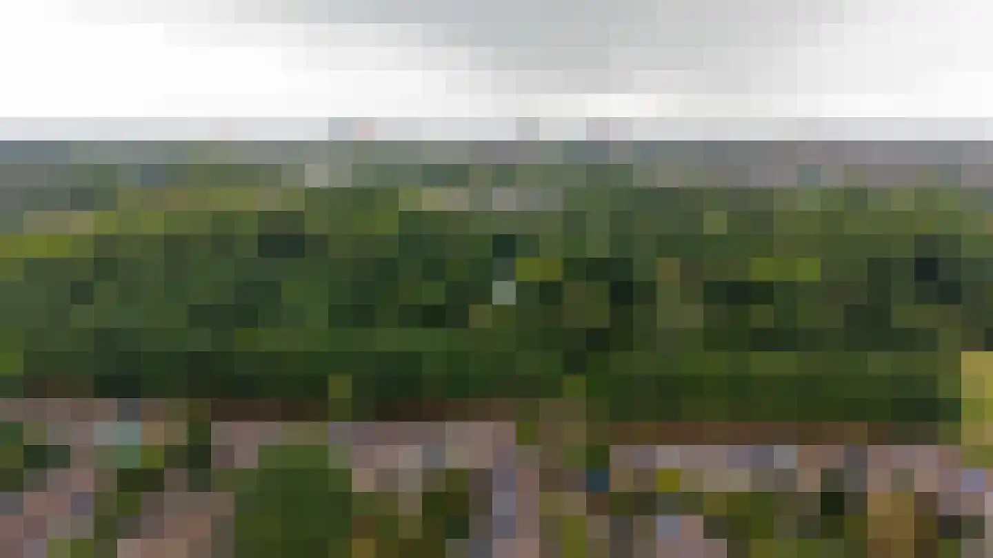 Ameland 64 Utrecht thumbnail 46