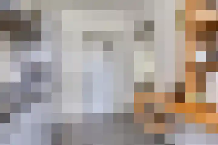 Amelandlaan 18 Eindhoven thumbnail 11