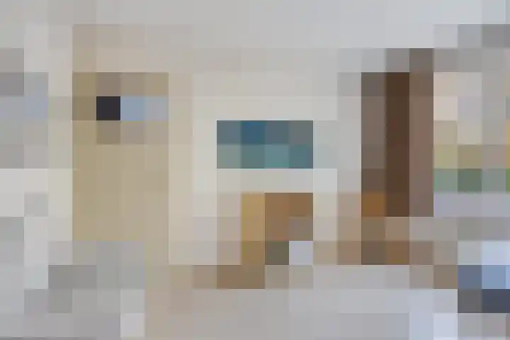 Amelandlaan 18 Eindhoven thumbnail 20