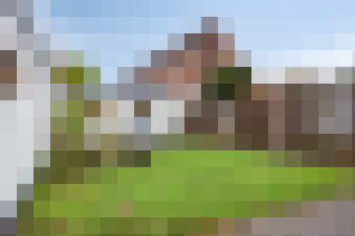 Amelandlaan 18 Eindhoven thumbnail 25