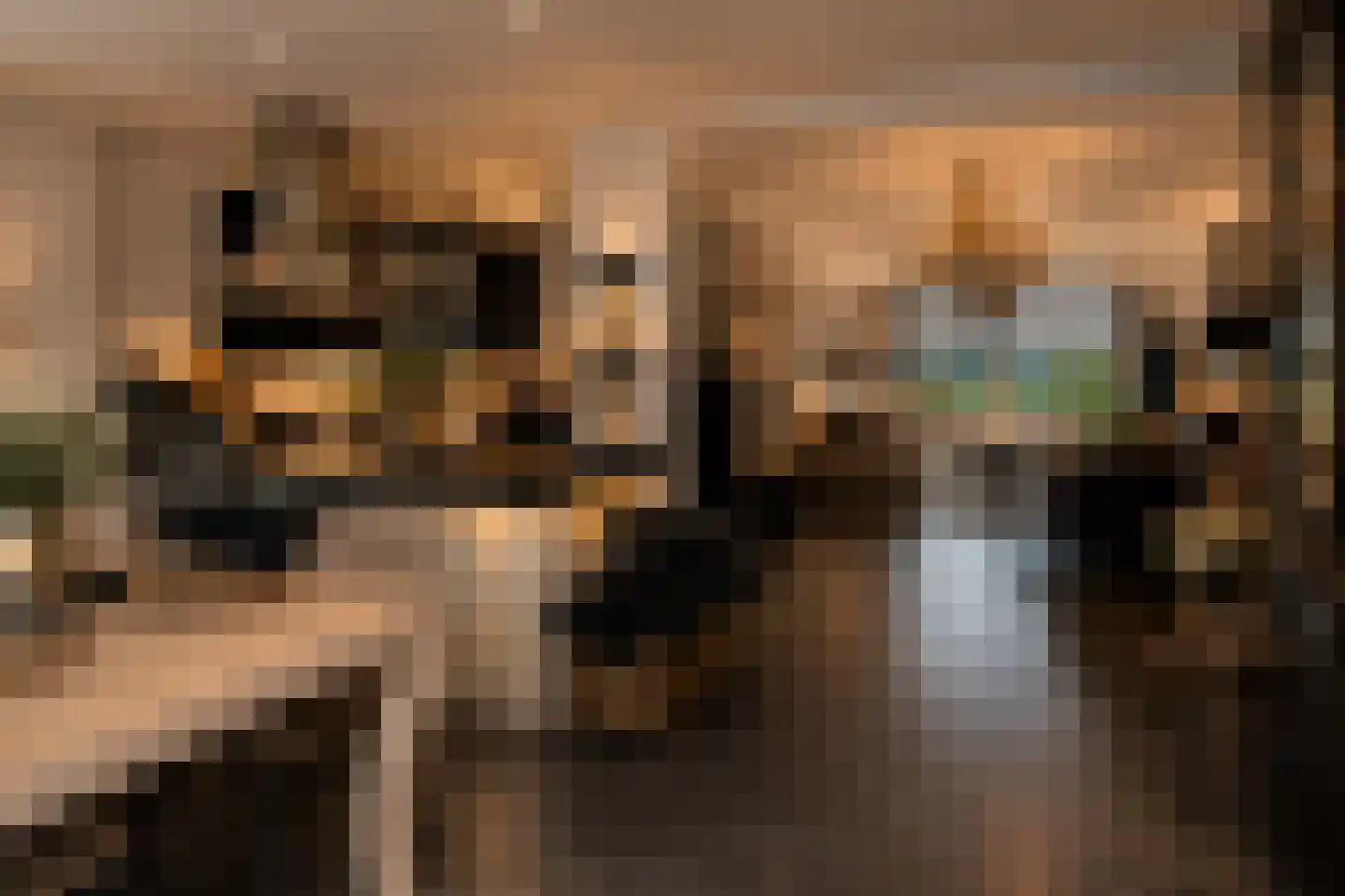 Amelandlaan 6 Eindhoven thumbnail 11