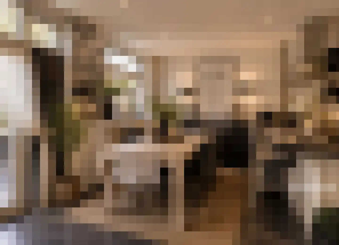 Amelandlaan 6 Eindhoven thumbnail 17