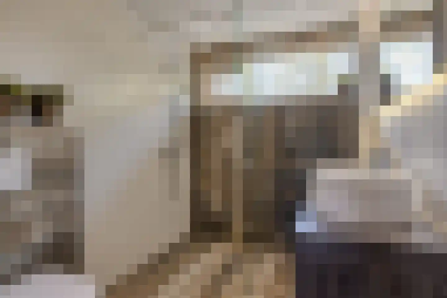 Amelandlaan 6 Eindhoven thumbnail 19