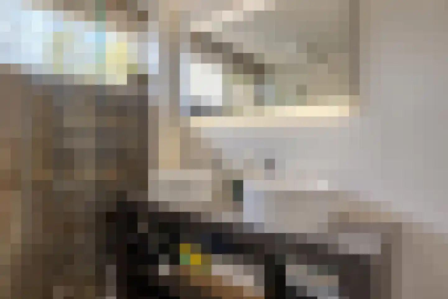 Amelandlaan 6 Eindhoven thumbnail 20
