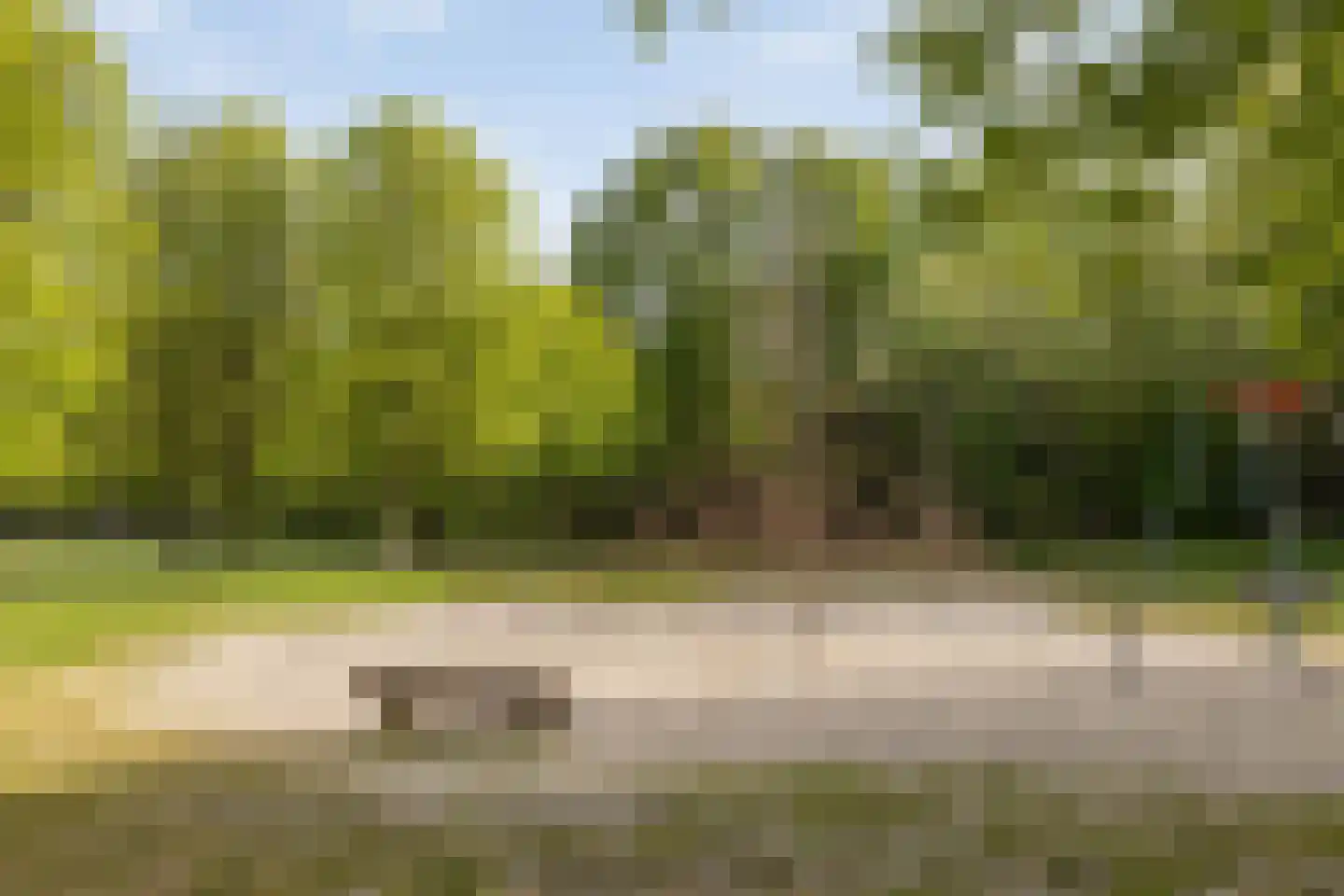 Amelandlaan 6 Eindhoven thumbnail 34