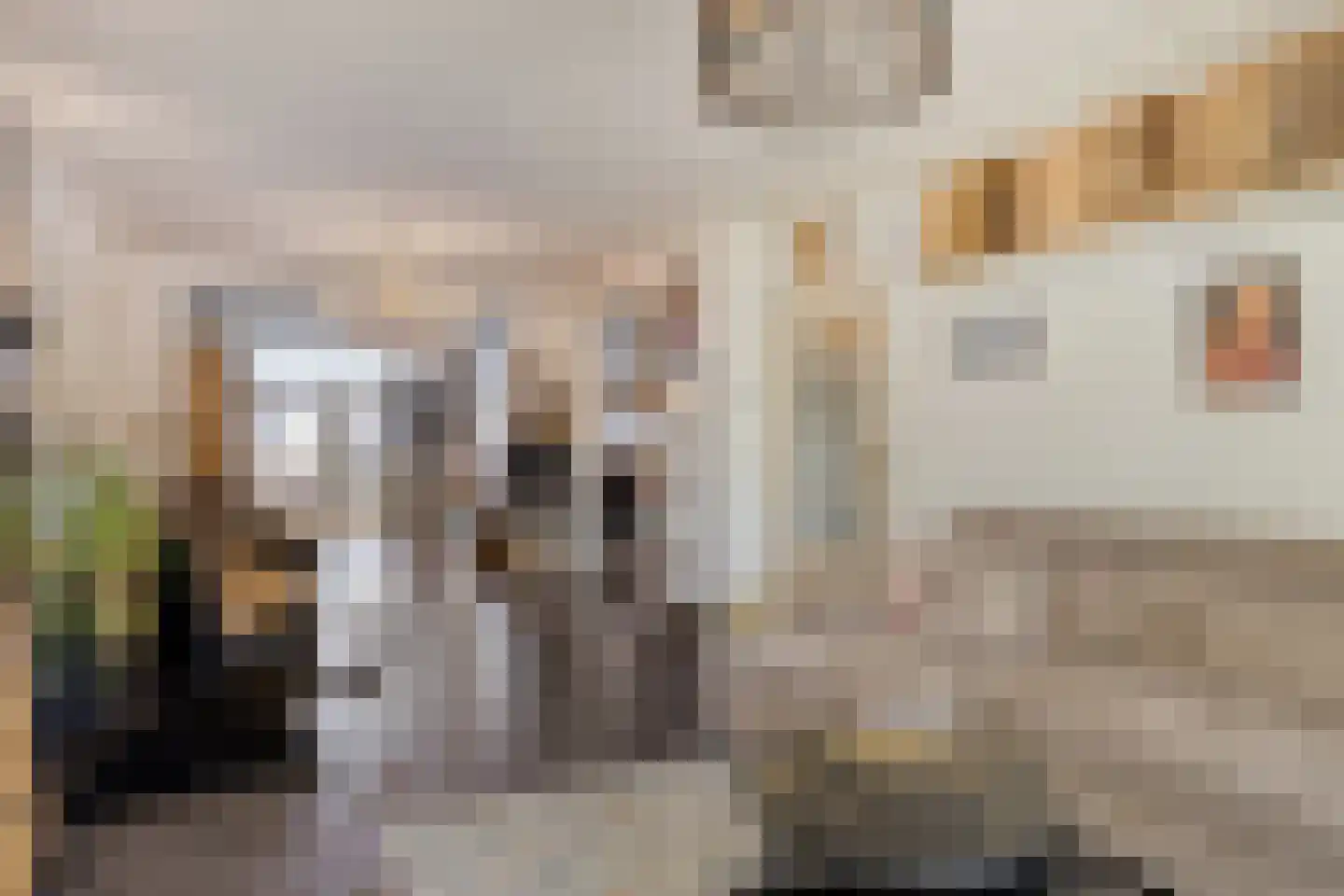 Amelandlaan 6 Eindhoven thumbnail 8
