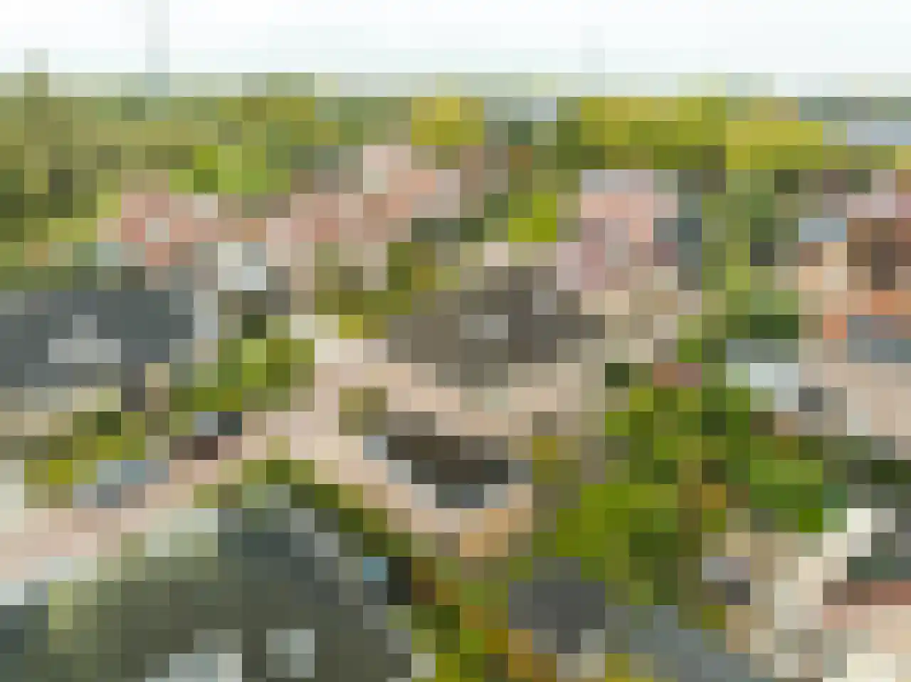 Amelandlaan 6 Enschede thumbnail 11