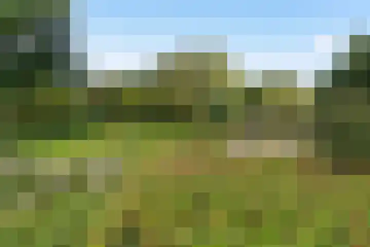 Amelandlaan 6 Enschede thumbnail 37