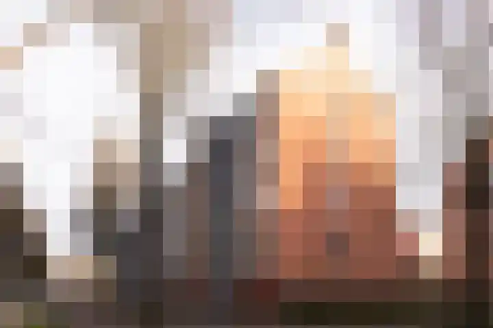 Amelandlaan 6 Enschede thumbnail 5