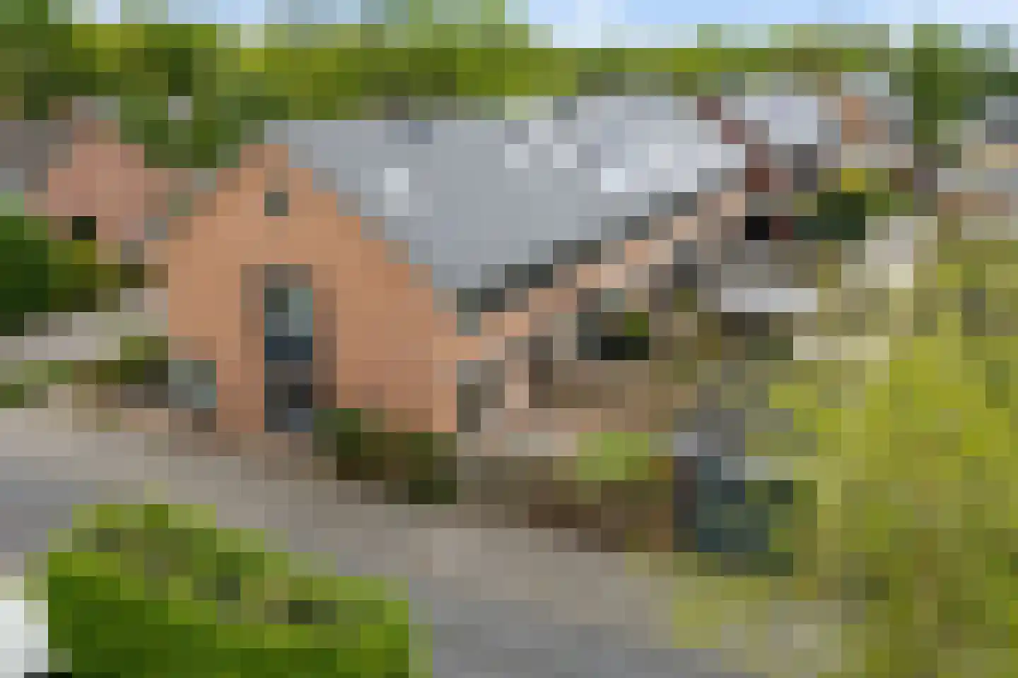 Amelandlaan 68 Heerenveen thumbnail 37