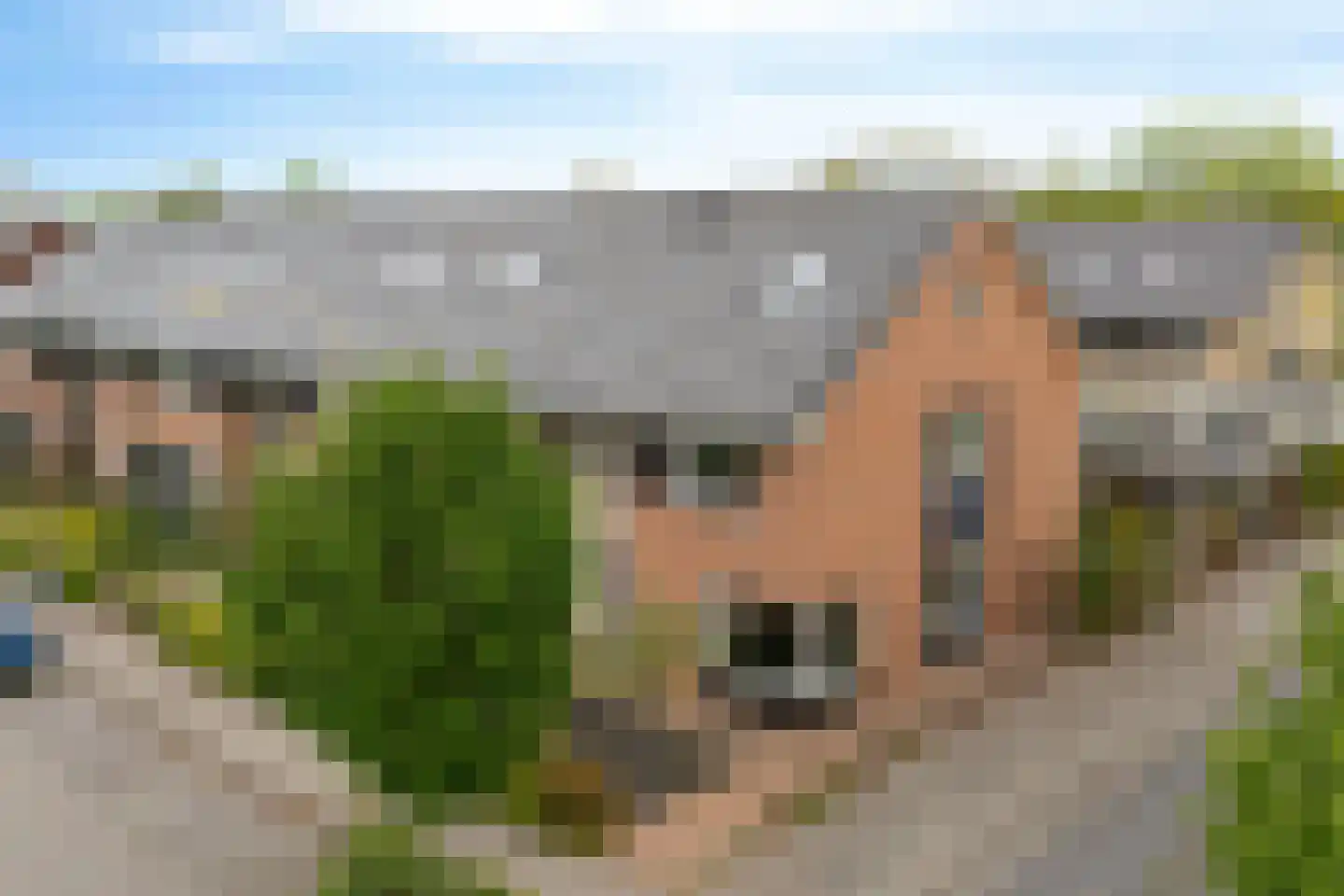 Amelandlaan 68 Heerenveen thumbnail 41
