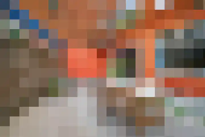 Amelandseplein 20 C Rotterdam thumbnail 4
