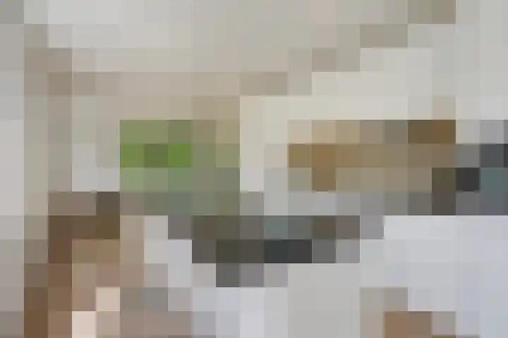 Amelandseplein 21 A Rotterdam thumbnail 13