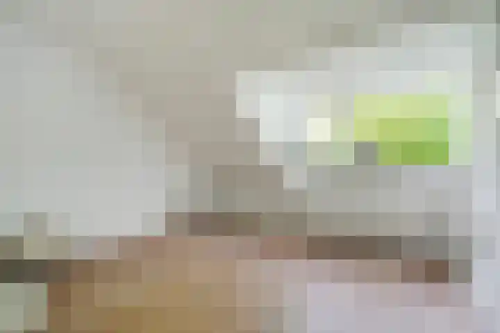 Amelandseplein 21 A Rotterdam thumbnail 28