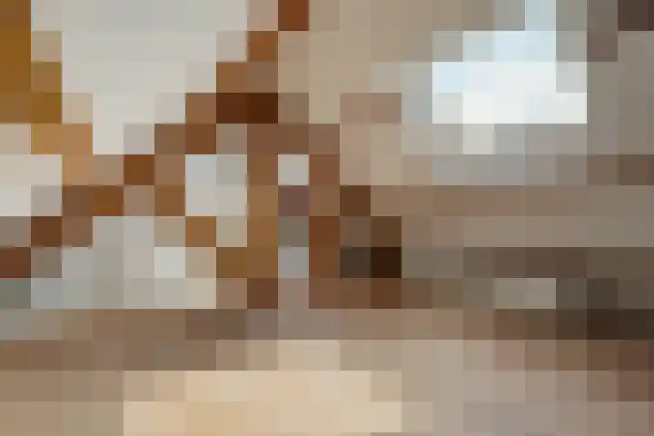 Amelandseplein 21 A Rotterdam thumbnail 34
