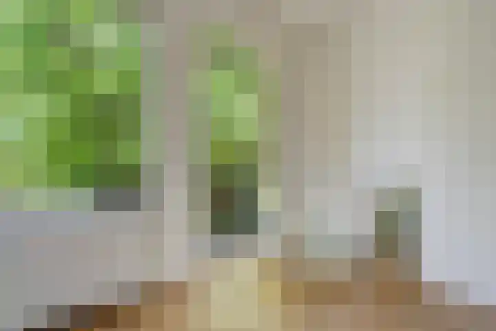 Amelandseplein 21 A Rotterdam thumbnail 7