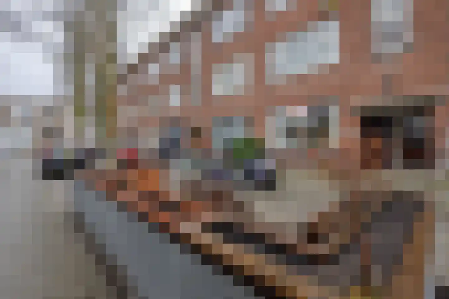 Amelandseplein 39 C Rotterdam thumbnail 20