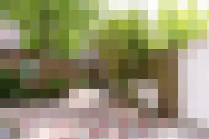Amelandseplein 5 B Rotterdam thumbnail 15