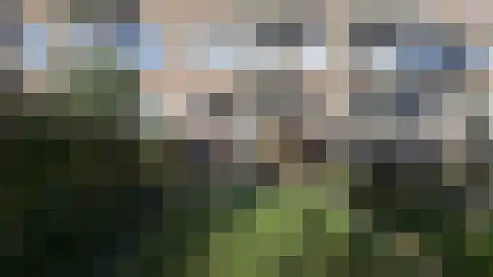 Amelandsestraat 18 A Rotterdam