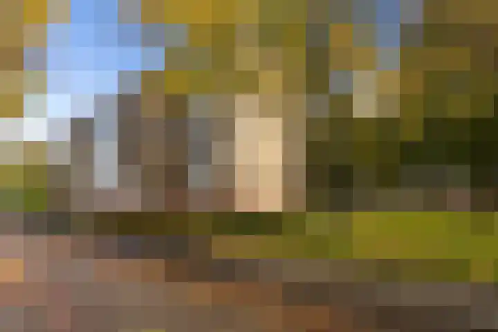 Amelbergastraat 6 III Sittard thumbnail 7
