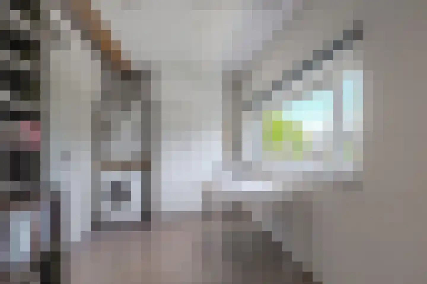 Ameliapolder 22 Amersfoort thumbnail 34