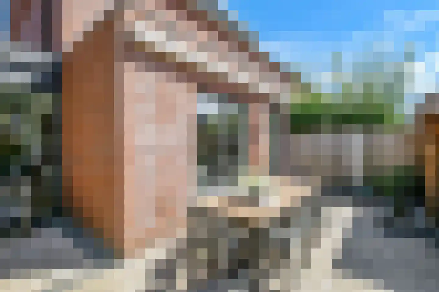 Ameliapolder 22 Amersfoort thumbnail 42