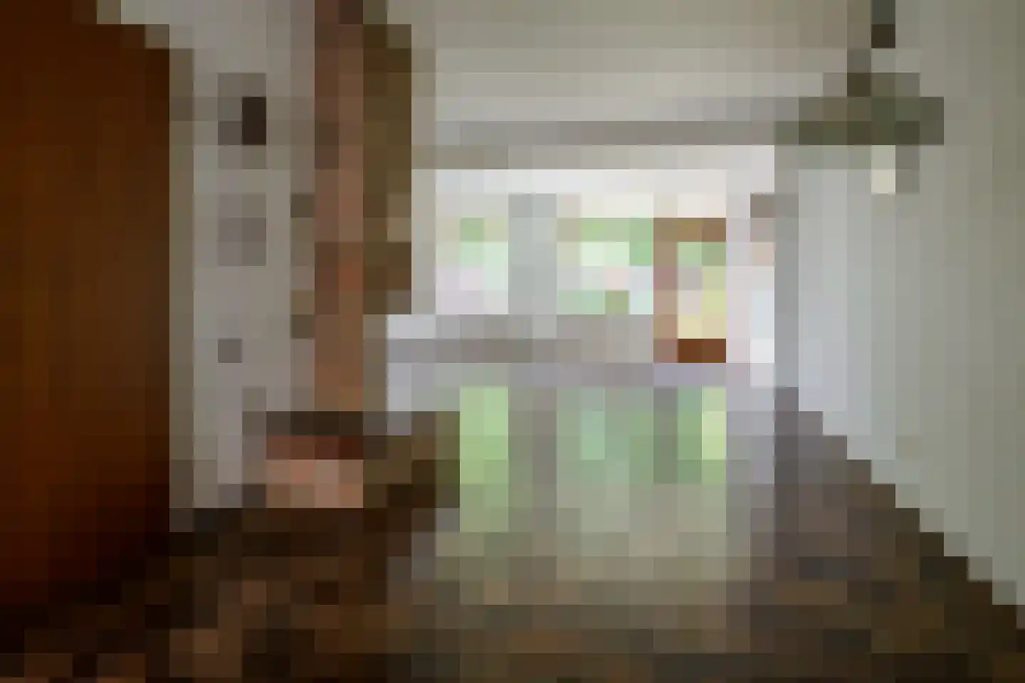 Amelinkhorst 22 Enschede thumbnail 18