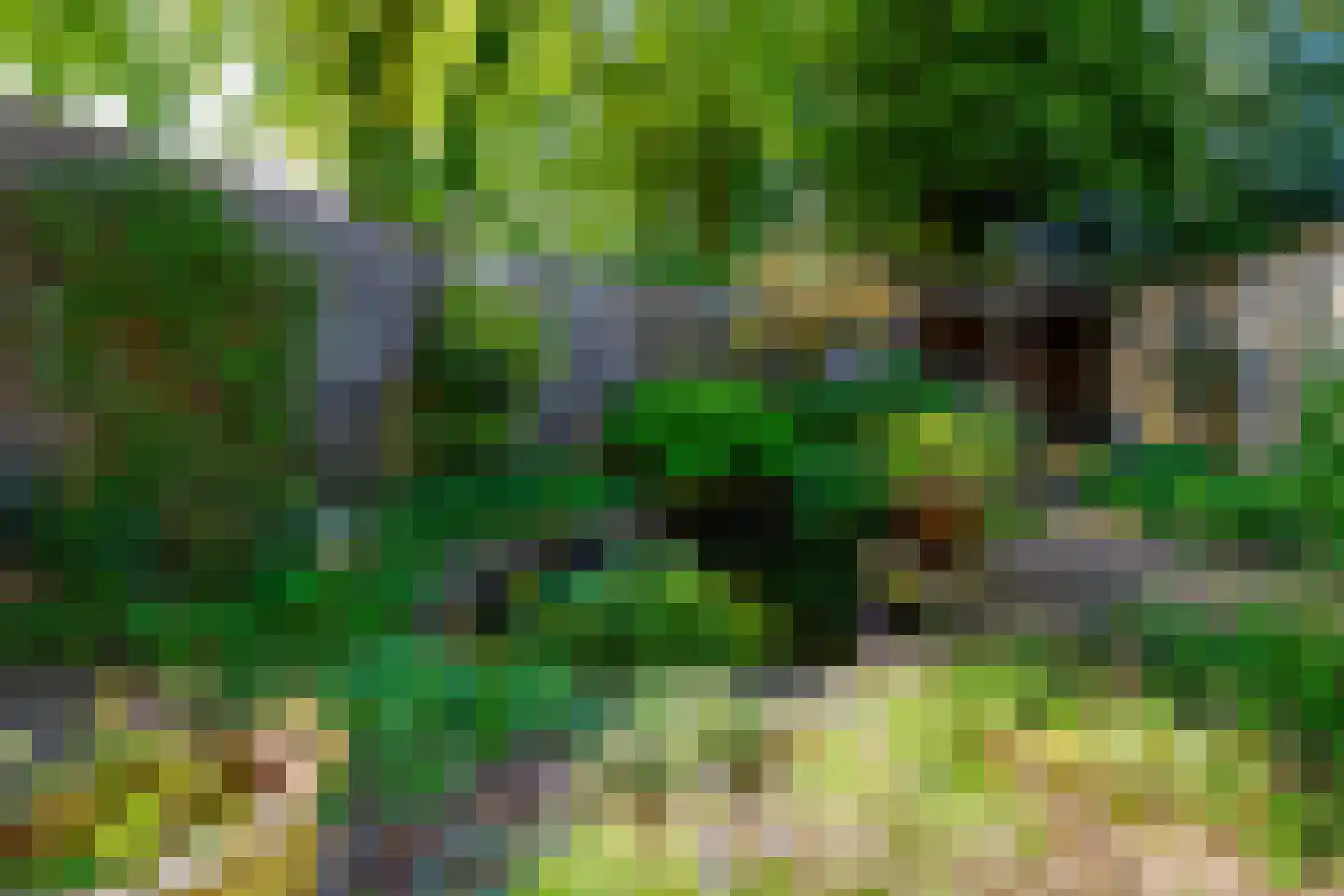 Amelinkhorst 22 Enschede thumbnail 44