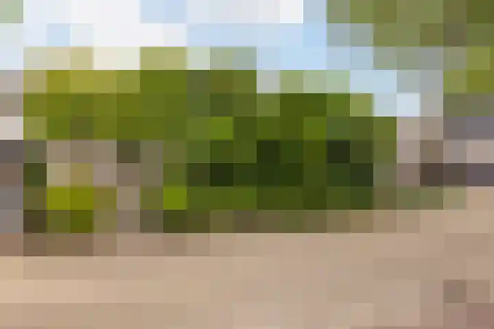 Amelinkhorst 27 Enschede thumbnail 34