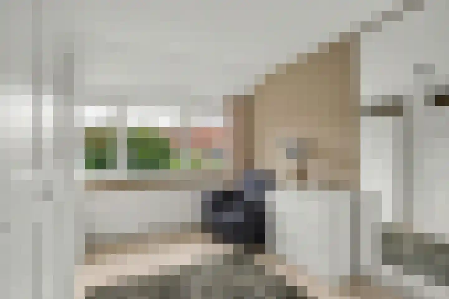 Amelinkhorst 8 Enschede thumbnail 22