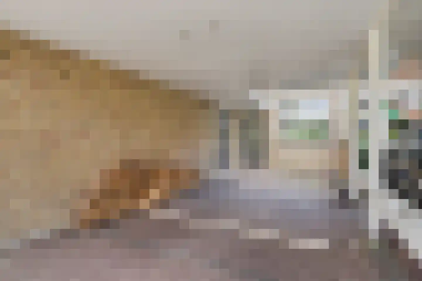 Amelinkhorst 8 Enschede thumbnail 5