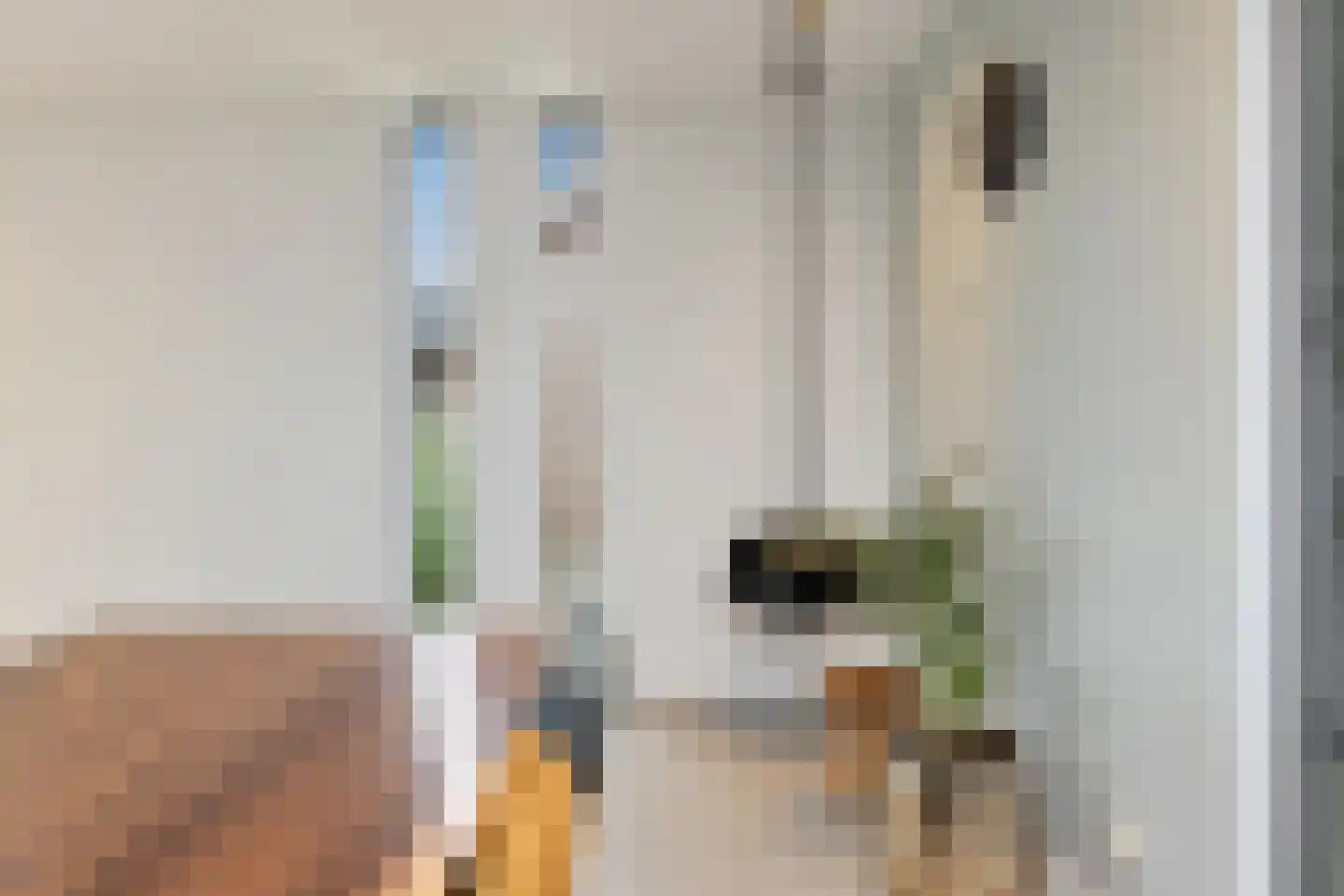 Amelsestraat 25 Oss thumbnail 20
