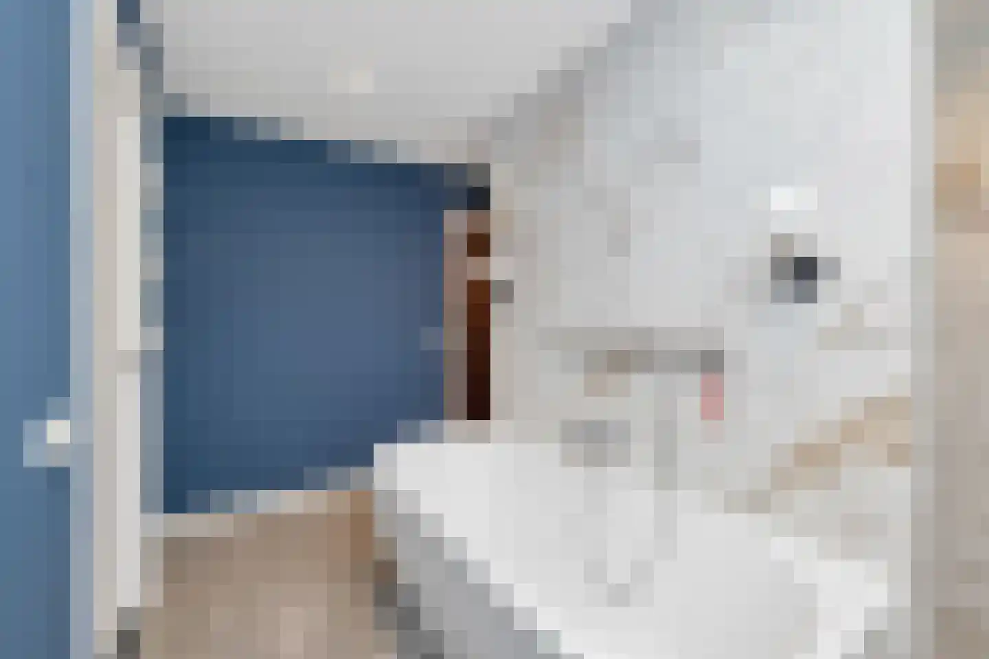 Amelsestraat 25 Oss thumbnail 33