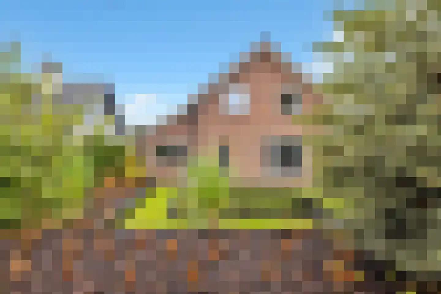 Amelsestraat 25 Oss thumbnail 5