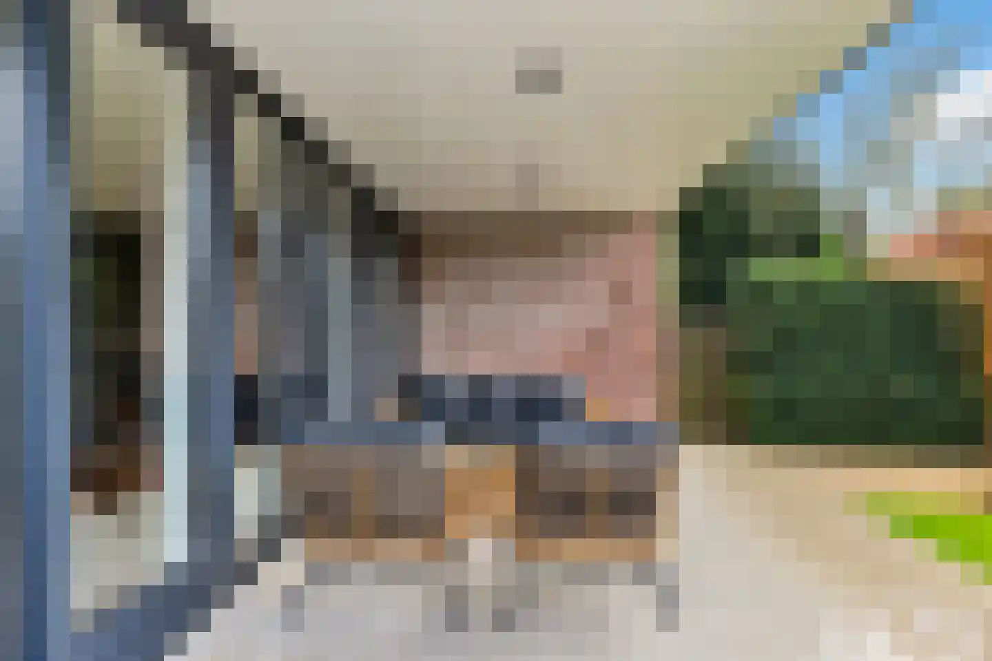 Amelsestraat 25 Oss thumbnail 60