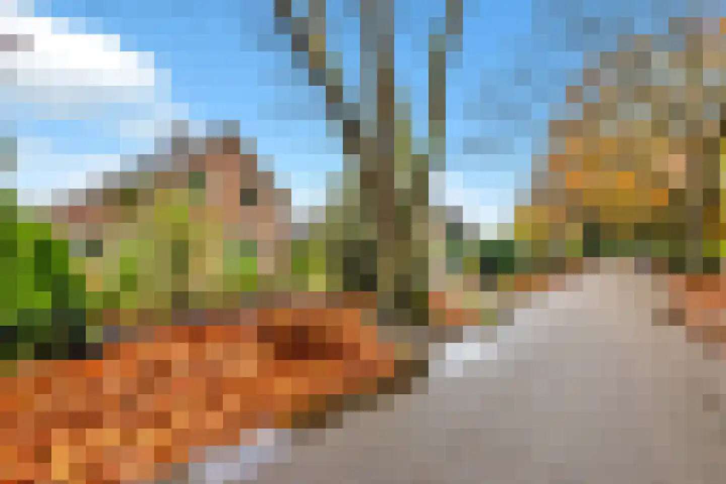 Amelsestraat 25 Oss thumbnail 84