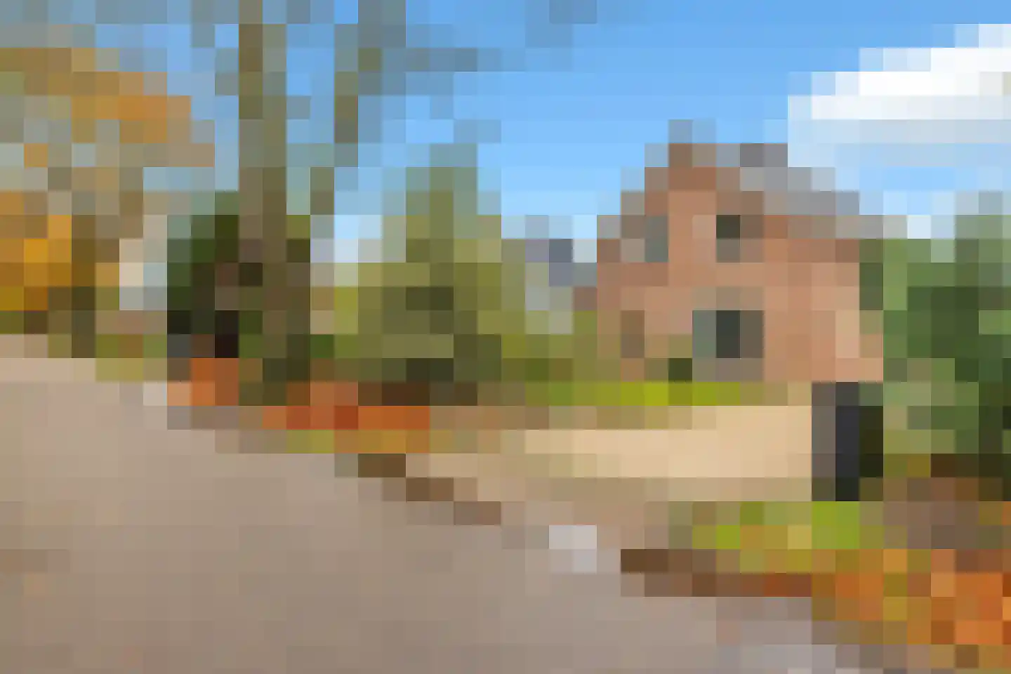 Amelsestraat 25 Oss thumbnail 85