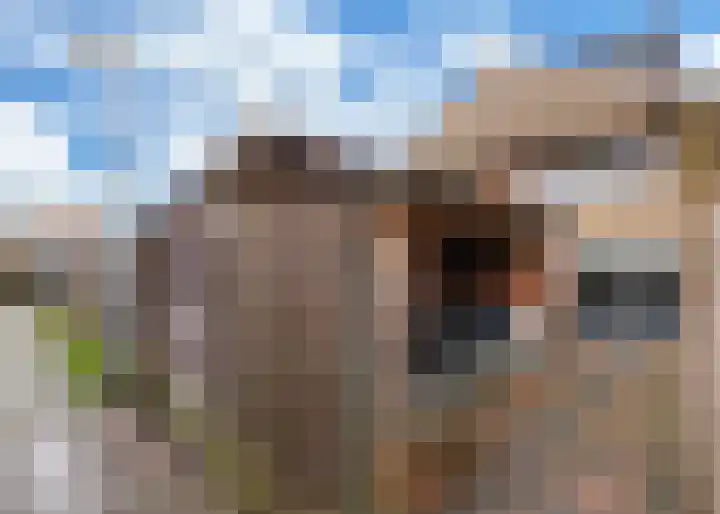 Amelsgroet 16 Zuid-Scharwoude thumbnail 28