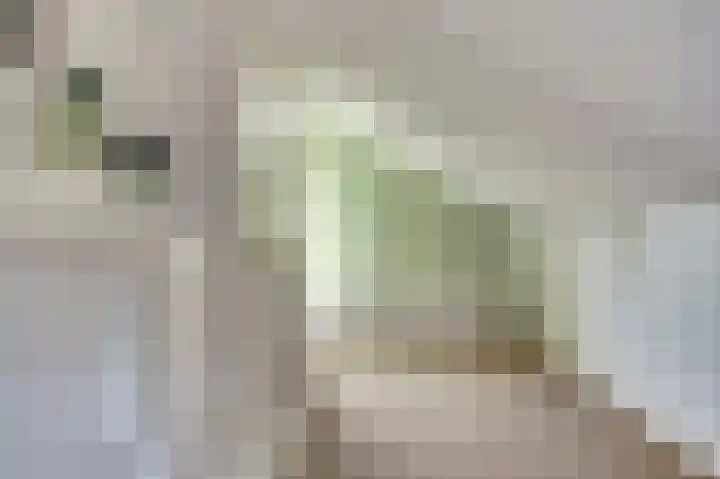 Amelsgroet 4 Zuid-Scharwoude thumbnail 23