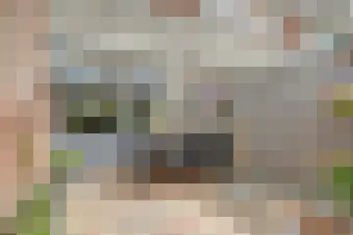 Amelsgroet 4 Zuid-Scharwoude thumbnail 26