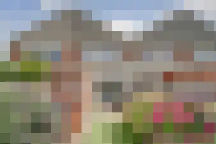 Amelsgroet 4 Zuid-Scharwoude thumbnail 27