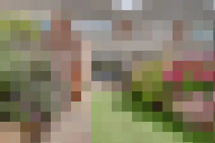 Amelsgroet 4 Zuid-Scharwoude thumbnail 28