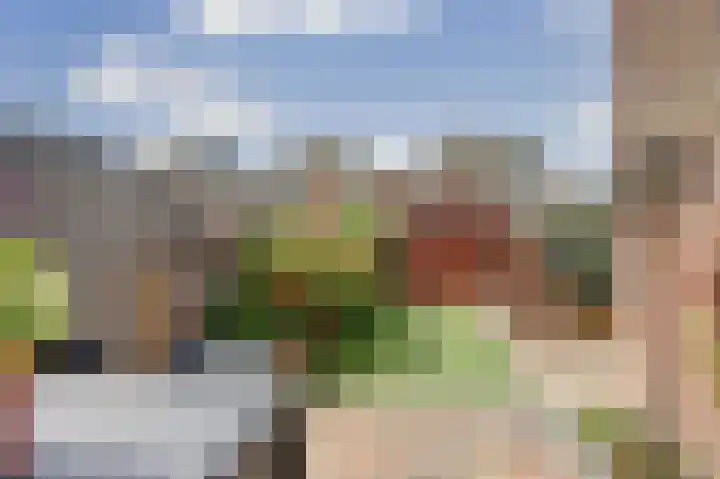 Amelsgroet 4 Zuid-Scharwoude thumbnail 29