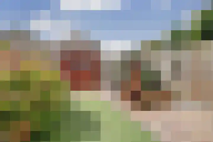 Amelsgroet 4 Zuid-Scharwoude thumbnail 30