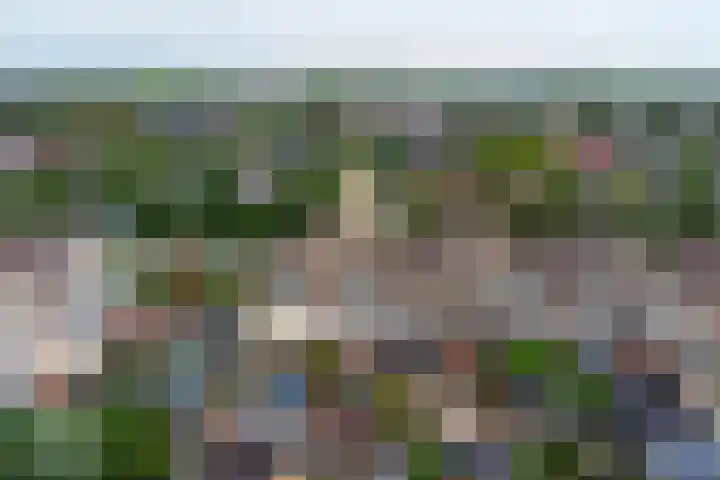 Amelsgroet 4 Zuid-Scharwoude thumbnail 33