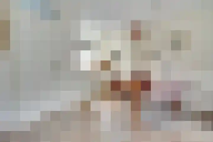 Amelsgroet 4 Zuid-Scharwoude thumbnail 7