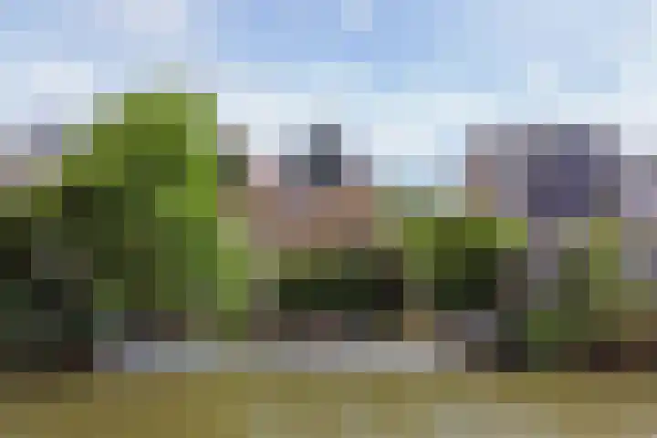 Amelsgroet 50 Zuid-Scharwoude thumbnail 44